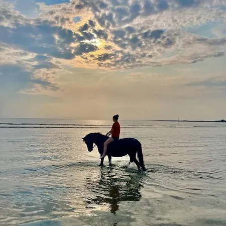 Jacuzzi A La Cavalerie De Montchaton