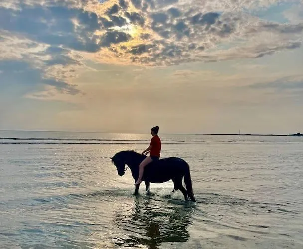Jacuzzi A La Cavalerie De Montchaton