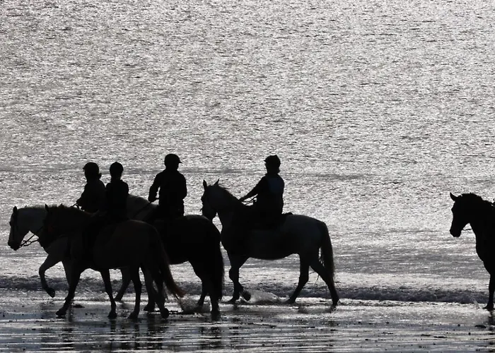 Jacuzzi A La Cavalerie De *